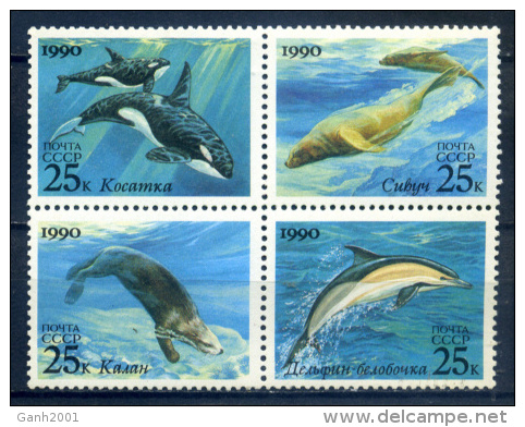 Russia 1990 Rusia / Whales Dolphins MNH Ballenas Delfines / C6230    5 - Balene