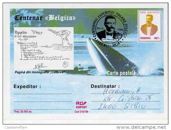 WHALE  Centenaire Polar Belgica Baleine Wal Entier Postal Stationery Used ROUMANIE Postmarked Alba-julia 30.12.1998 - Whales