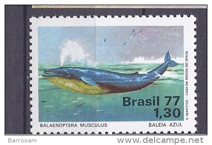 Brazil1977: Michel1597mnh** - Whales