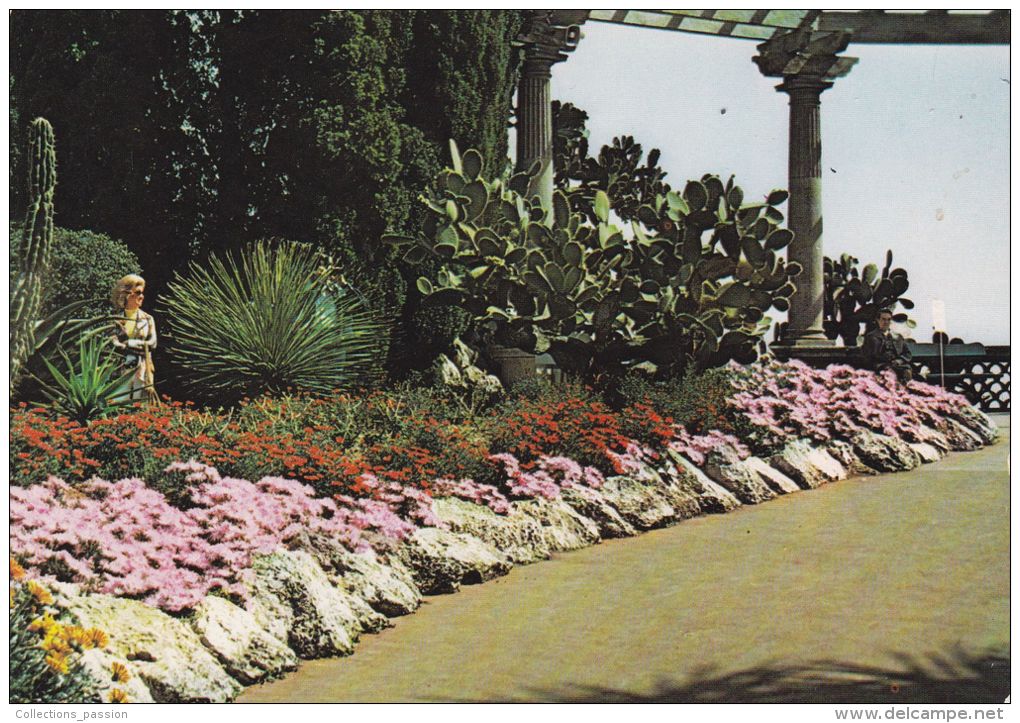 Cp , MONACO , Le Jardin-Exotique , Parterre Avec Floraisons De Lampranthus D´Afrique Du Sud - Exotischer Garten