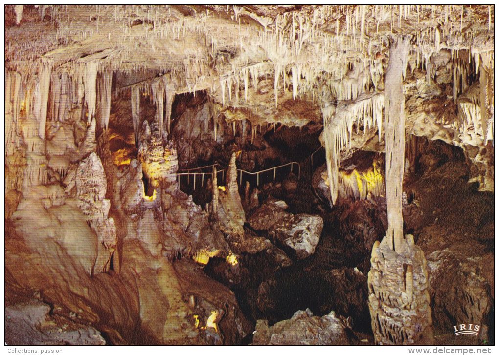 Cp , MONACO , Grotte Du Jardin-Exotique - Exotische Tuin