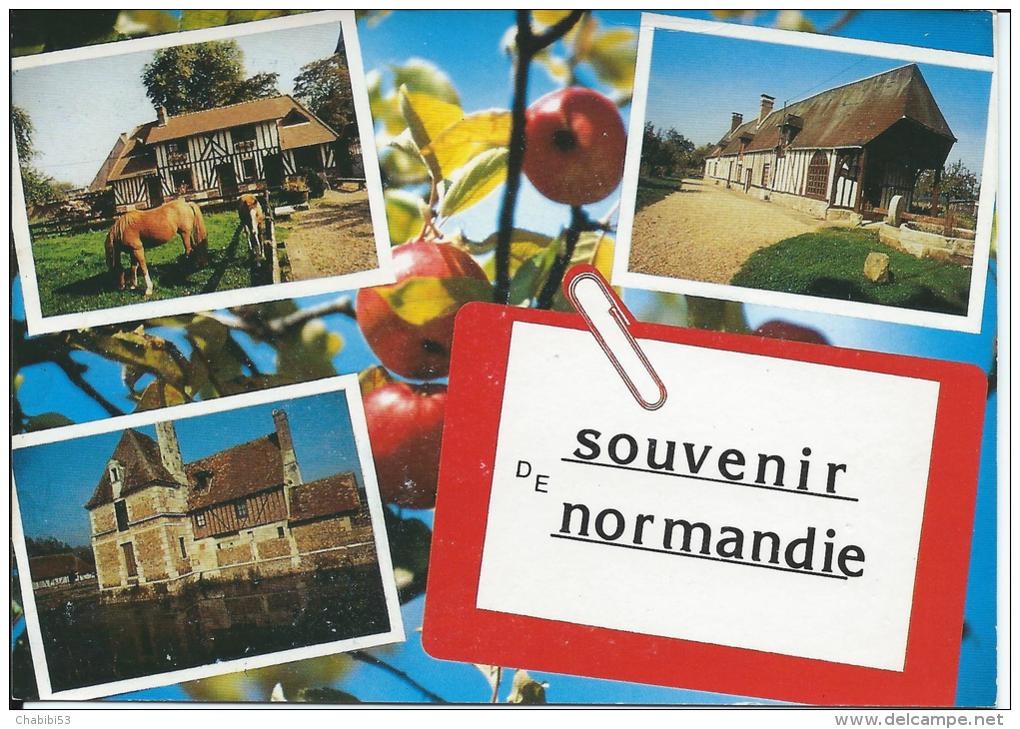 SOUVENIR DE NORMANDIE - Haute-Normandie