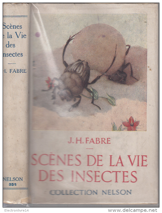 Nelson Fabre Scenes De La Vie Des Insectes - Animaux