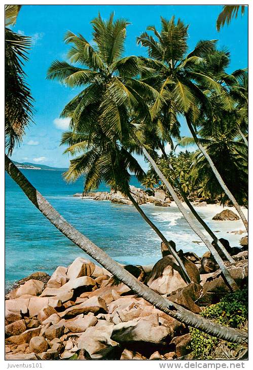 CPSM Seychelles-Cap Barbie-La Digue   L1493 - Seychellen