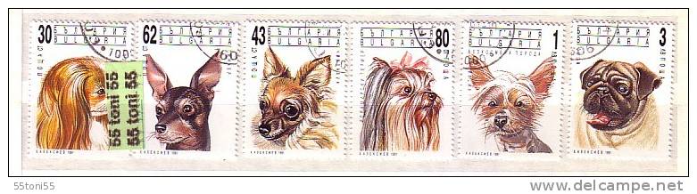Bulgaria / Bulgarie  1991 Animals Dogs   6v- Used - Oblitérés
