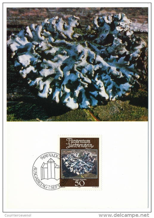 LIECHTENSTEIN - Mousses Et Lichens - 4 Cartes Maximum - 1981 - Andere & Zonder Classificatie