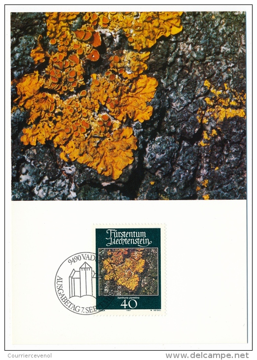 LIECHTENSTEIN - Mousses Et Lichens - 4 Cartes Maximum - 1981 - Autres & Non Classés