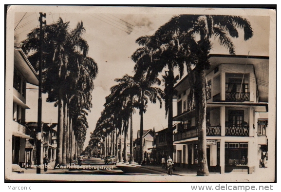 PARAMARIBO - ZWARTEHOVENBRUGSSTRAAT (Amérique, Surinam) - Carte Photo - Surinam