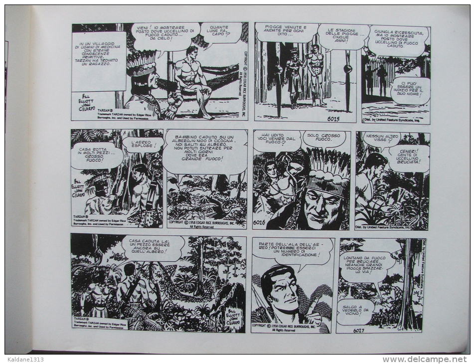 TARZAN John Celardo Daily Strips 6024 à 6192 Sunday Pages 1446 à 1474 Tarzan Land - Autres & Non Classés