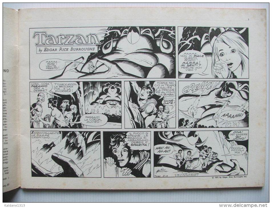 TARZAN Russ Manning N° 6 Sunday Pages 2162 à 2209 - Autres & Non Classés