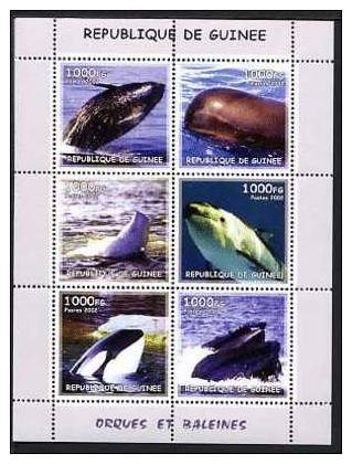 GUINEE 2002, ORQUES ET BALEINES, 6 Valeurs, Neufs / Mint. R1247 - Baleines