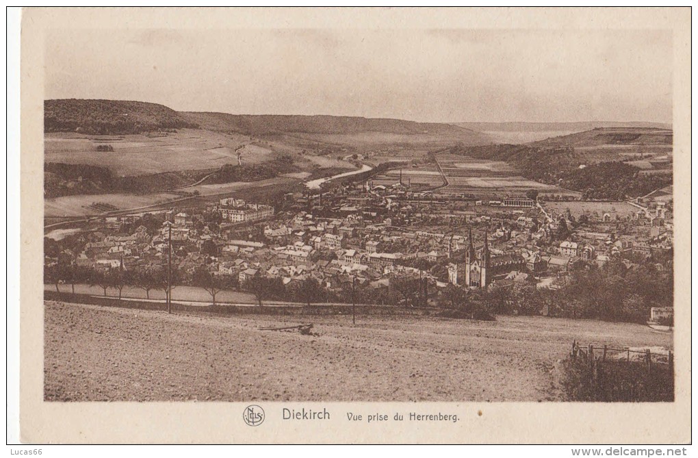 1920 DIEKIRCH VUE PRISE DU HERRENBERG - Diekirch