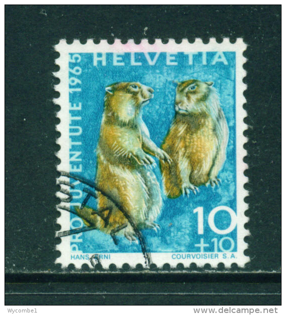 SWITZERLAND - 1965  Pro Juventute  10+10c  Used As Scan - Used Stamps