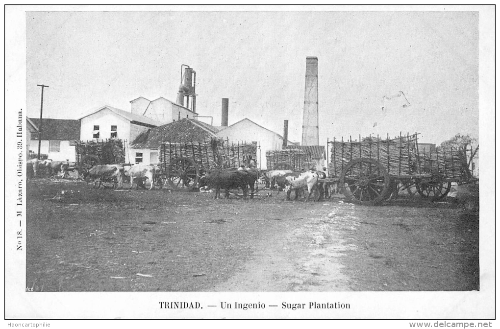 Trinidad : Sugar Plantation - Sucrerie - Trinidad