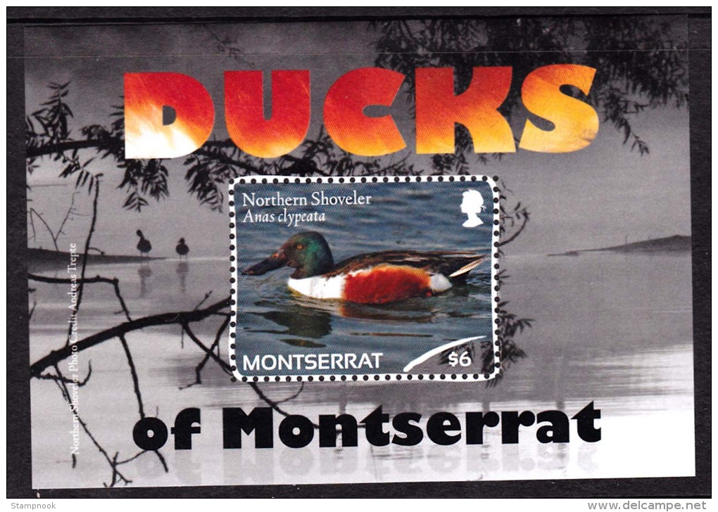 Montserrat Ducks Souvenir Sht Mint NH - Montserrat