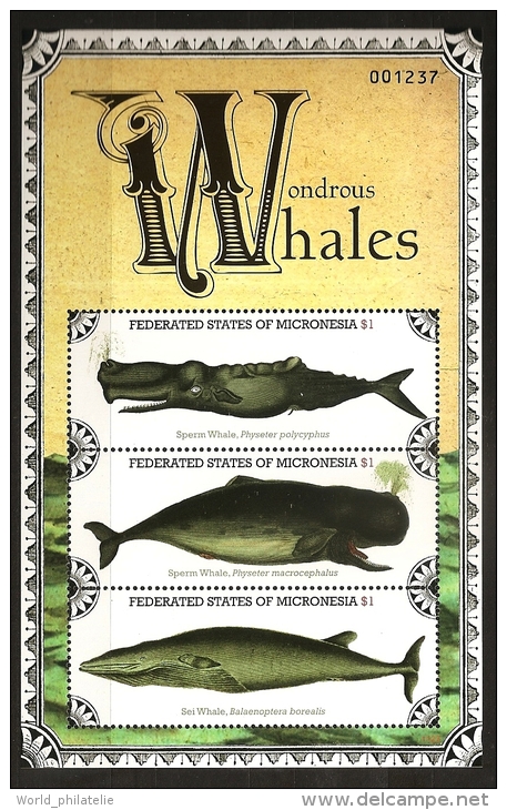 Micronesie Micronesia 2011 N° 1879 / 81 ** Faune Marine, Baleine à Bosses, Dessins, Cachalot, Rorqual Boréal, Poissons - Micronesia