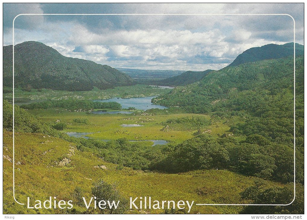 Ladies View   Killarney   Co. Kerry    Ireland    # 02988 - Clare