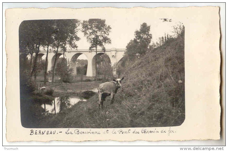 E3169 - Berneau - La Berwinne Et Le Pont Du Chemin De Fer " Carte Photo" - Dalhem