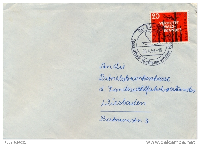 Germany BRD 1958 Cover With 20 Pf. Prevent Forest Fires With Special Cancel Heart Diseases - Malattie