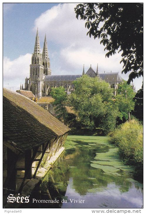 Cp , 61 , SÉES , Cathédrale XIIIè Siècle , Promenade Du Vivier Avec Lavoir - Sees