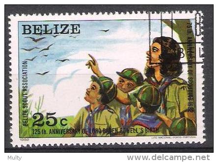 Belize Y/T 589 (0) - Belize (1973-...)