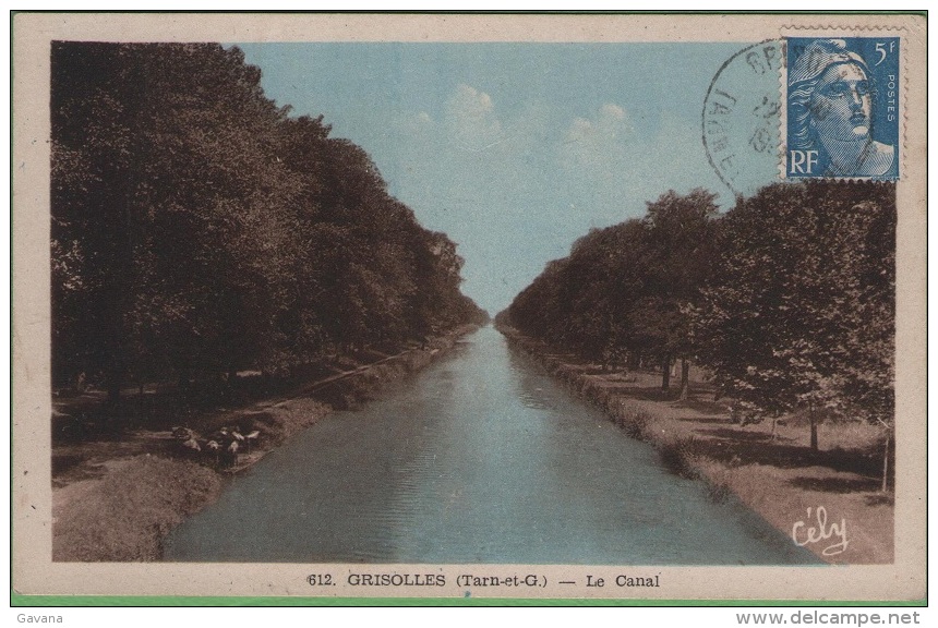 82 GRISOLLES - Le Canal - Grisolles