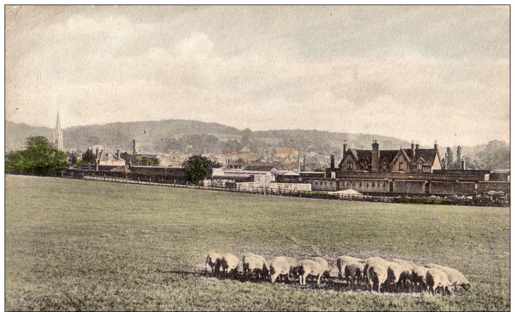 POSTED POSTCARD ,  EARLY 1900'S " GENERAL VIEW OF DORKING, SURREY " - Surrey