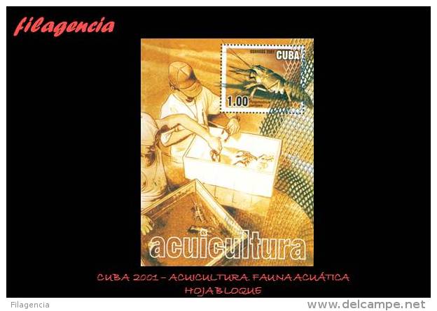 AMERICA. CUBA MINT. 2001 ACUICULTURA. FAUNA ACUÁTICA. HOJA BLOQUE - Ongebruikt