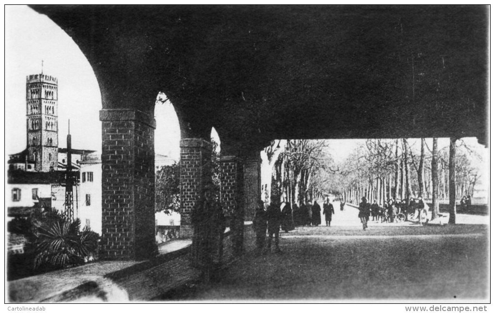 [DC6772] LUCCA - VISTA DALLA PASSEGGIATA DELLE MURA - Old Postcard - Lucca