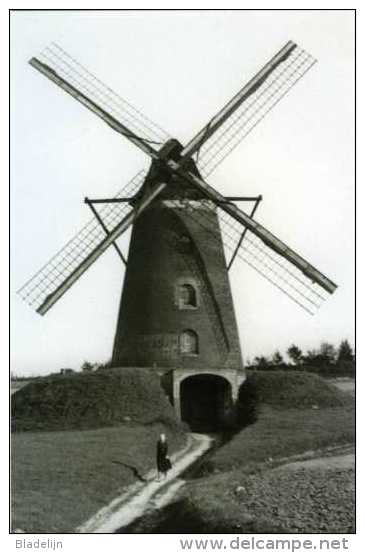 VELTEM-BEISEM / Herent (Vlaams-Brabant) - Molen/moulin - Molen Van Veltem Met Kap En Wieken. Bestaat Nog Als Romp. - Herent