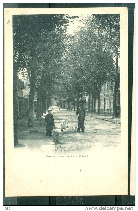 POISSY - Avenue De Migneaux  ( Semble Inédite Sur Delcampe à Ce Jour )     - Dak58 - Poissy