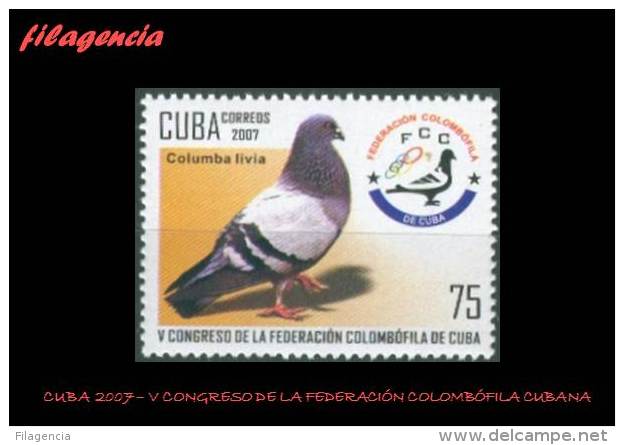 AMERICA. CUBA MINT. 2007 V CONGRESO DE LA FEDERACIÓN COLOMBÓFILA CUBANA. PALOMAS - Ungebraucht