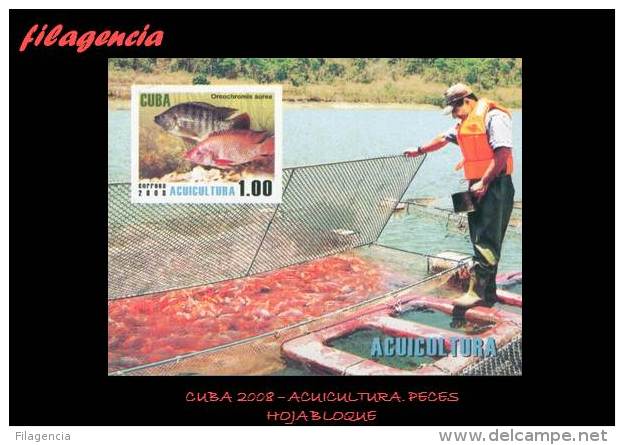 AMERICA. CUBA MINT. 2008 ACUICULTURA. PECES. HOJA BLOQUE - Ungebraucht