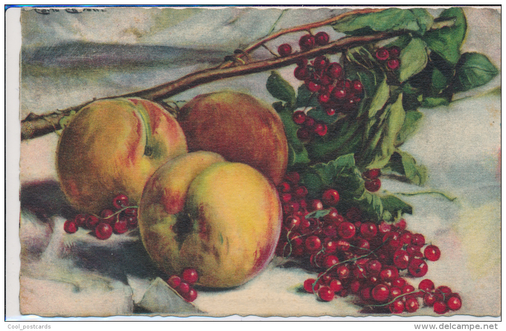 C. CHIOSTRI, FRUIT, PEACHES AND REDCURRANTS, Near EX Cond. PC, Not Mailed, 1930s - Chiostri, Carlo