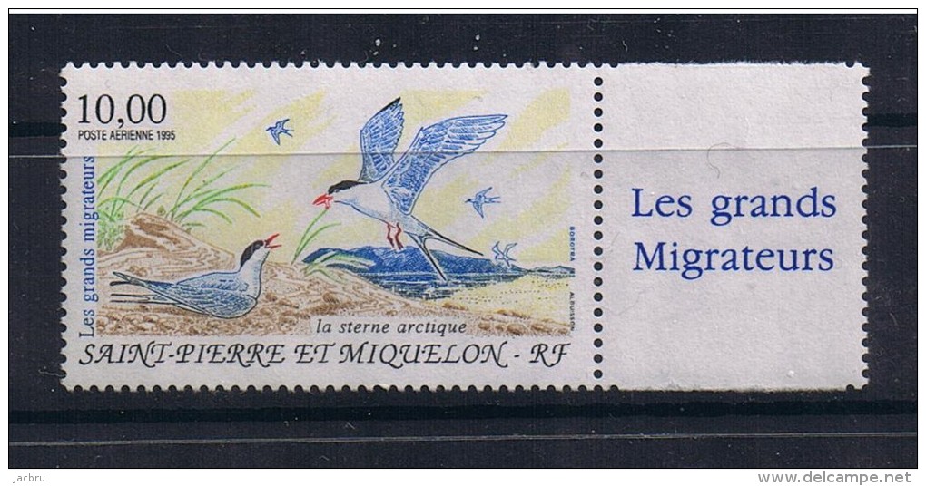 N° 74 La Sterne Artique  NEUF** - Unused Stamps