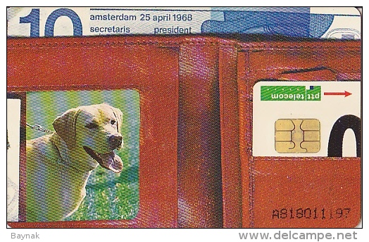 NL  --  OLD PHONECARD  --  10 GULDEN  --  SERIE MENS EN HUISDIER - Sonstige & Ohne Zuordnung