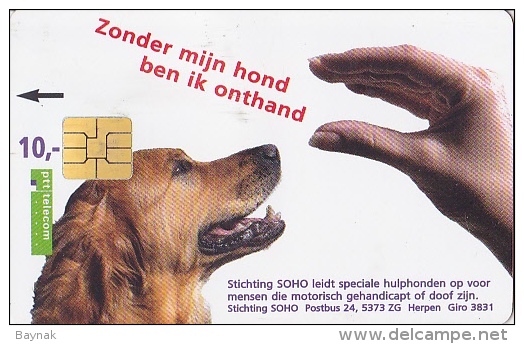 NL  --    OLD PHONECARD - Other & Unclassified