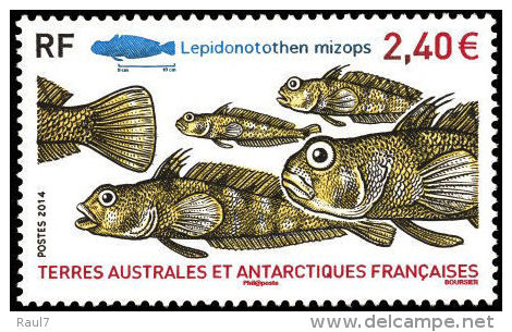 T.A.A.F. // F.S.A.T. 2014 - Poissons - 1val Neufs // Mnh - Ungebraucht