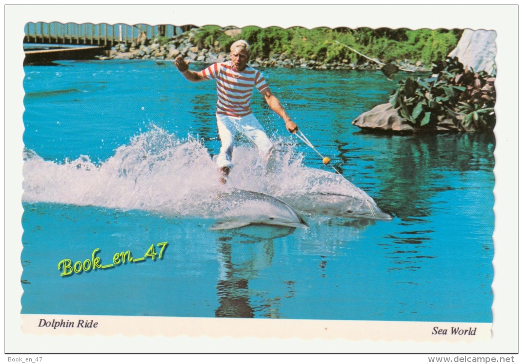 {35031} USA , Sea World , Dolphin Ride ; Dauphins - Dauphins