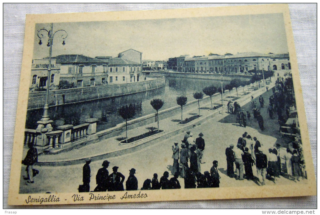 SENIGALLIA VIA PRINCIPE AMEDEO ANIMATA - Senigallia