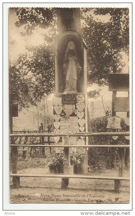 Grande Espinette  *  Notre-Dame Immaculée De L'Espinette - Avenue Brssine - Rhode-St-Genèse - St-Genesius-Rode