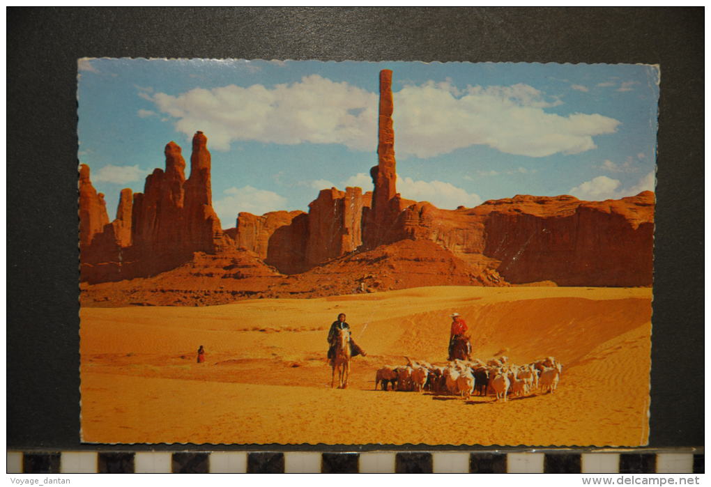 CP, Etats Unis, Flock On The Dunes Monument Valley Arizona - Other & Unclassified