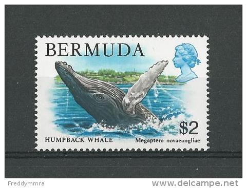 Bermudes: 367 **  Baleine - Whales