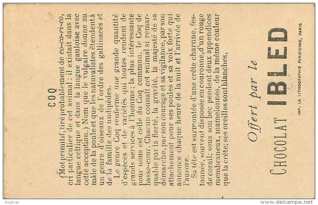 3 CHROMOS CHOCOLAT IBLED  SERIE ANIMAL   COQ CASTOR  SERIN - Autres & Non Classés