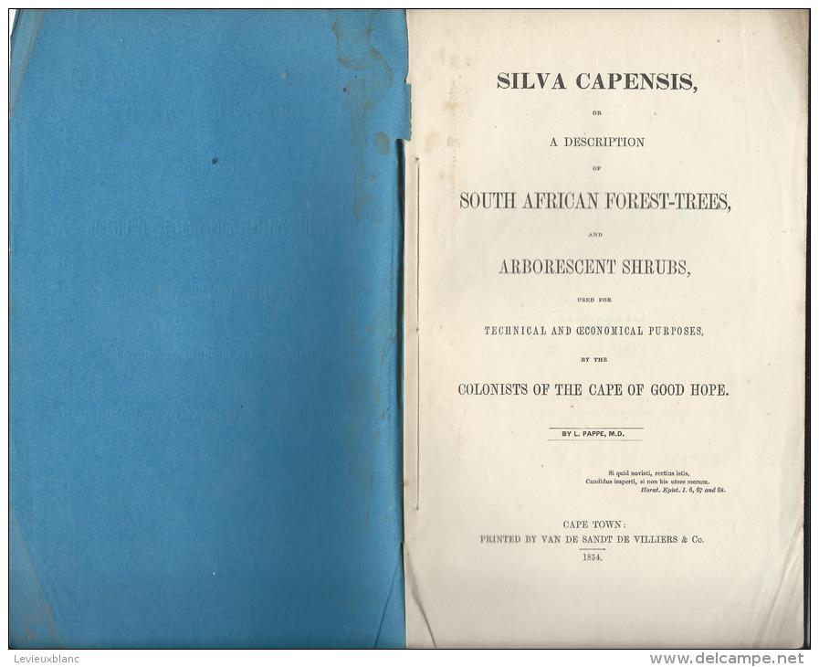 SILVA CAPENSIS/ Description Of South African Forest-Trees And Arborescent Shrubs/Cape Town/ 1854  MDP32 - 1850-1899