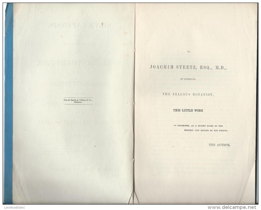 SILVA CAPENSIS/ Description Of South African Forest-Trees And Arborescent Shrubs/Cape Town/ 1854  MDP32 - 1850-1899