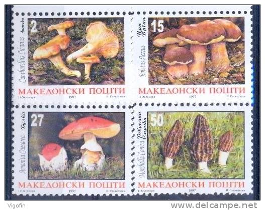 MK 1997-108-11 MUSHROOMS, MACEDONIA, 1 X 4v, MNH - Pilze