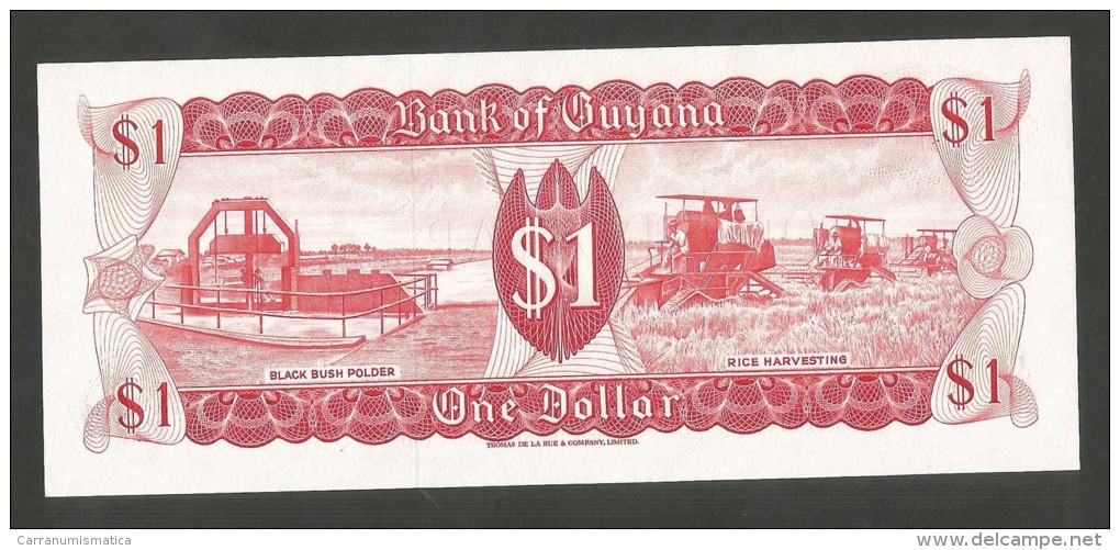 [NC] GUYANA - BANK Of GUYANA - 1 DOLLAR - Guyana