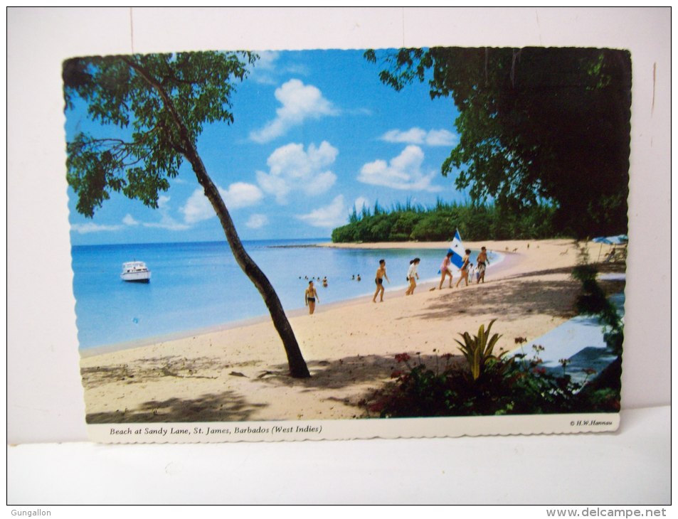 Beach At Sandy Lane, St. James  (Barbados) - Barbados