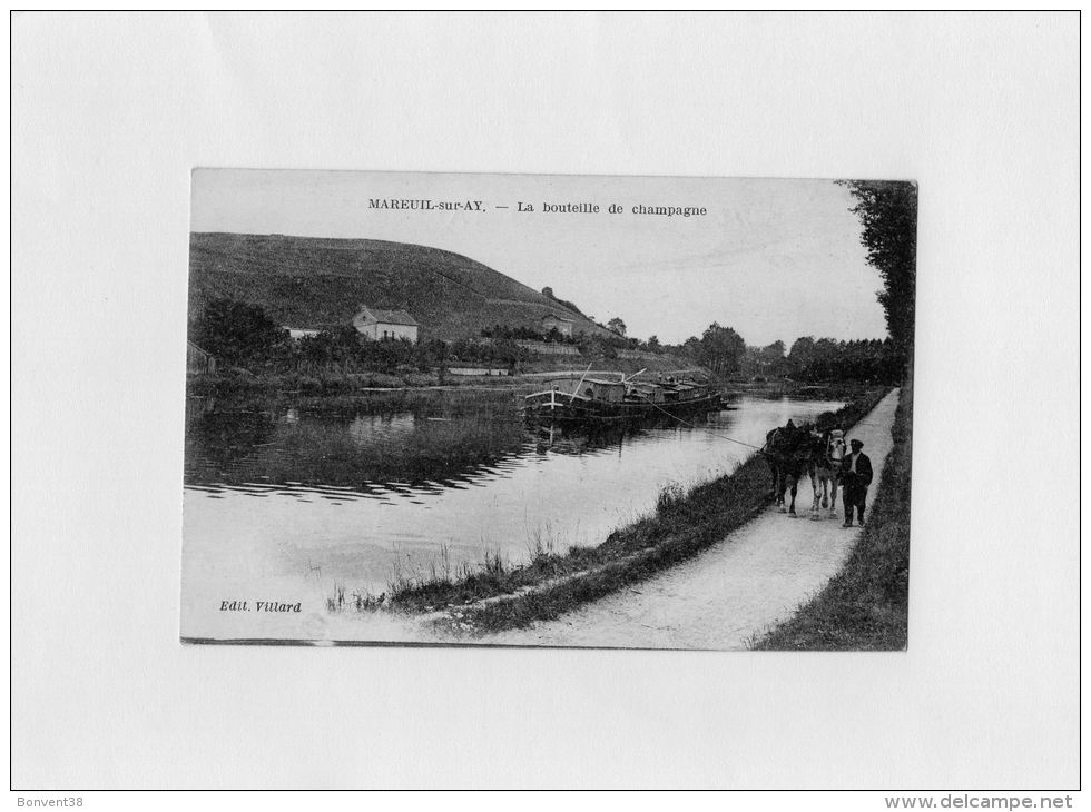 A0801 - MAREUIL Sur AY - La Bouteille De Champagne - Mareuil-sur-Ay